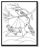 Раскраска Птицы в кормушке | Раскраски времена года - зима. Зимние  раскраски, раскраска зима